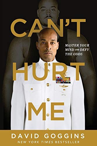 Can't Hurt Me cover